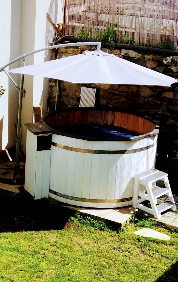 Mini-hôtel De Inchiriat La Dubova